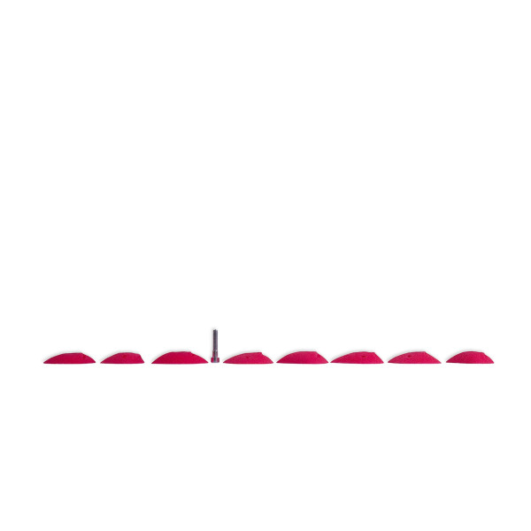 prises d'escalade espace scaring